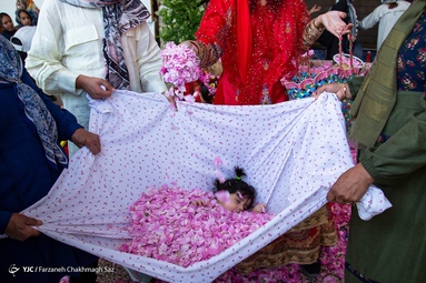 جشنواره گل و گلاب میمند - استان فارس