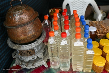 جشنواره بهارنارنج رشت