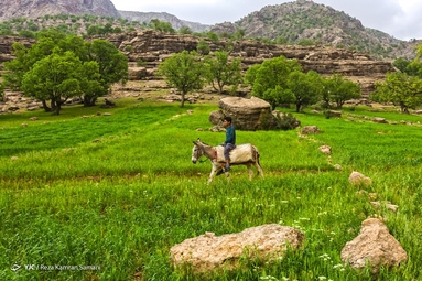 طبیعت چشم نواز بازفت - چهارمحال و بختیاری
