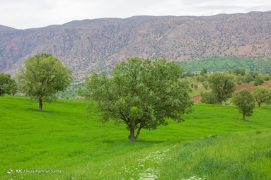 طبیعت چشم نواز بازفت - چهارمحال و بختیاری