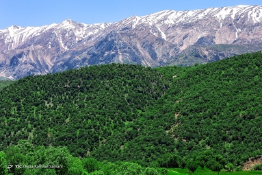 طبیعت چشم نواز بازفت - چهارمحال و بختیاری