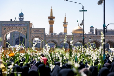 مراسم گلباران حرم مطهر امام رضا (ع) در سالروز ولادت حضرت معصومه(س) و آغاز دهه کرامت
