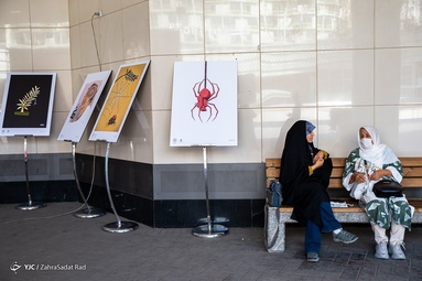 نمایشگاه کاریکاتور «کن از نمای نزدیک»