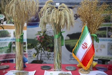 گردهمایی شرکت‌های دانش بنیان خراسان رضوی
