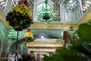 گل آرایی ضریح مطهر رضوی به مناسبت دهه کرامت