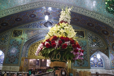 گل آرایی ضریح مطهر رضوی به مناسبت دهه کرامت