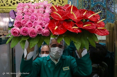 گل آرایی ضریح مطهر رضوی به مناسبت دهه کرامت