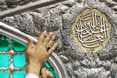 گل آرایی ضریح مطهر رضوی به مناسبت دهه کرامت