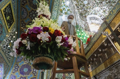 گل آرایی ضریح مطهر رضوی به مناسبت دهه کرامت