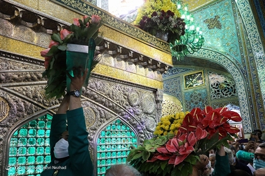 گل آرایی ضریح مطهر رضوی به مناسبت دهه کرامت