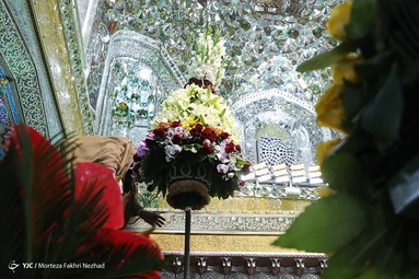 گل آرایی ضریح مطهر رضوی به مناسبت دهه کرامت