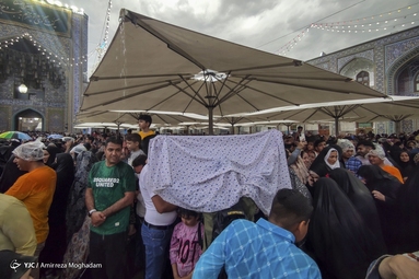 باران رحمت در شب میلاد امام مهربانی ها