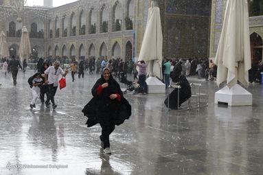 باران رحمت در شب میلاد امام مهربانی ها