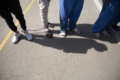 پنجاه و ششمین طرح رعد
