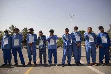 پنجاه و ششمین طرح رعد