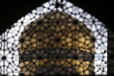 ی حرمت ملجأ درماندگان