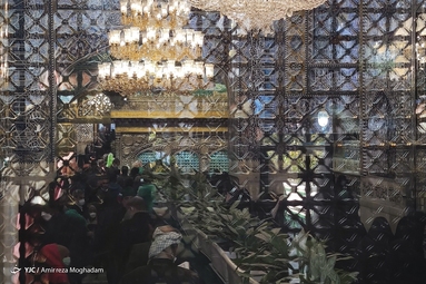 ی حرمت ملجأ درماندگان