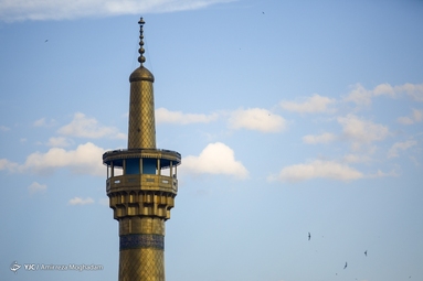 ی حرمت ملجأ درماندگان