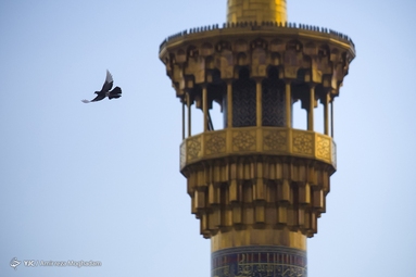 ای حرمت ملجأ درماندگان، دور مران از در و راهم بده