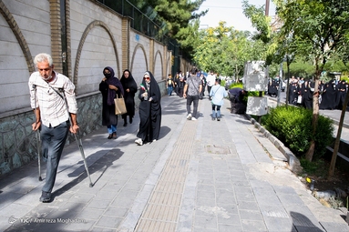 همایش پیاده روی حرم تا حرم