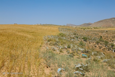 مراتع و زمین های کشاورزی شهرستان سمیرم در محاصره زباله های انسانی- اصفهان
