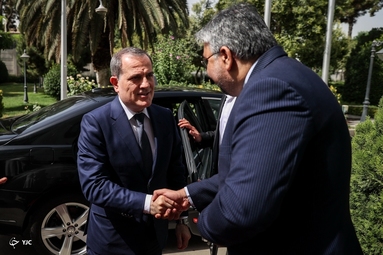 دیدار وزیر خارجه آذربایجان با رئیس مجلس