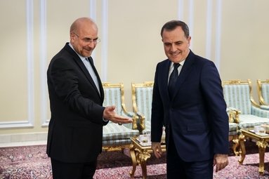 دیدار وزیر خارجه آذربایجان با رئیس مجلس