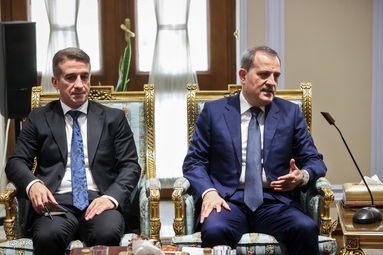 دیدار وزیر خارجه آذربایجان با رئیس مجلس