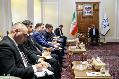 دیدار وزیر خارجه آذربایجان با رئیس مجلس