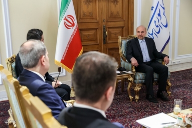 دیدار وزیر خارجه آذربایجان با رئیس مجلس