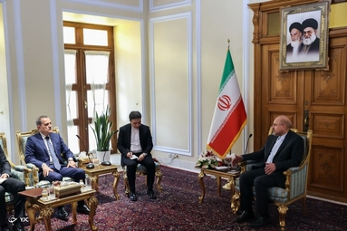 دیدار وزیر خارجه آذربایجان با رئیس مجلس