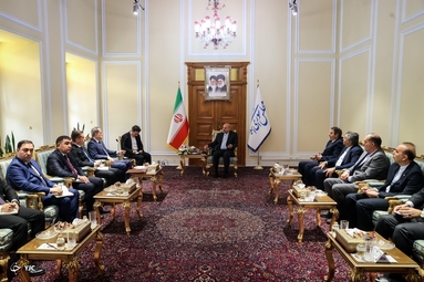 دیدار وزیر خارجه آذربایجان با رئیس مجلس
