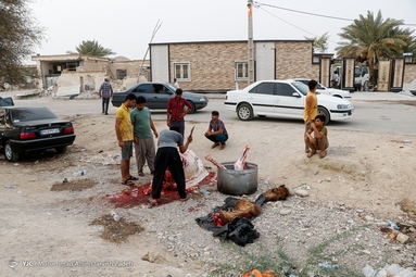 ادامه عملیات امداد رسانی و آواربرداری در روستای سایه خوش - هرمزگان