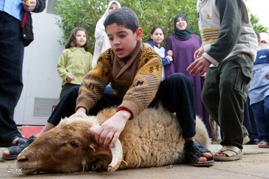 اقامه نماز عید قربان در سراسر جهان