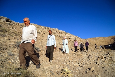 وصال کاروان زیارت پیاده 