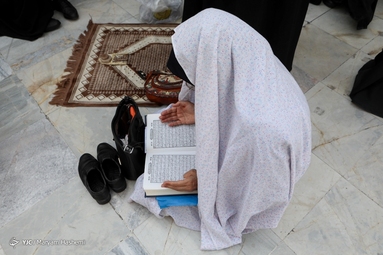 مراسم دعای عرفه - امامزاده صالح (ع)