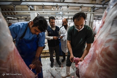 کشتارگاه دام در روز عید قربان