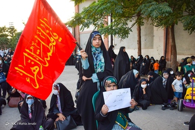 اجتماع خانواده علوی، به مناسبت روز عفاف و حجاب - پارک مادر شهر کرمان
