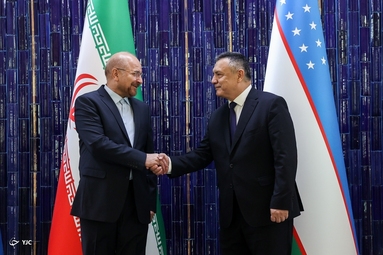 دیدار رئیس مجلس سنای ازبکستان با دکتر محمدباقر قالیباف