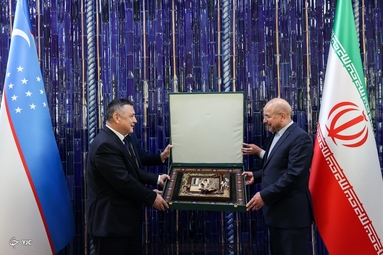 دیدار رئیس مجلس سنای ازبکستان با دکتر محمدباقر قالیباف