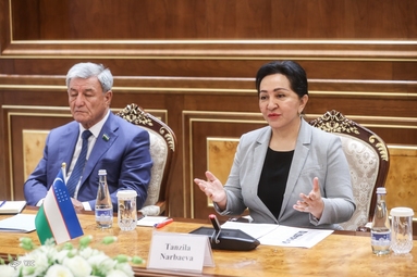 دیدار رئیس مجلس سنای ازبکستان با دکتر محمدباقر قالیباف