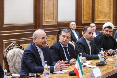 دیدار رئیس مجلس سنای ازبکستان با دکتر محمدباقر قالیباف