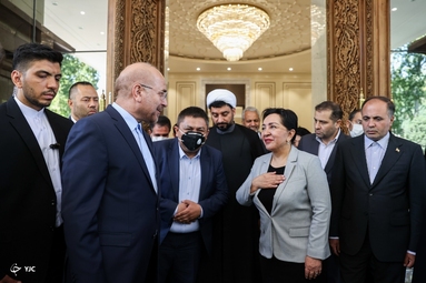 دیدار رئیس مجلس سنای ازبکستان با دکتر محمدباقر قالیباف