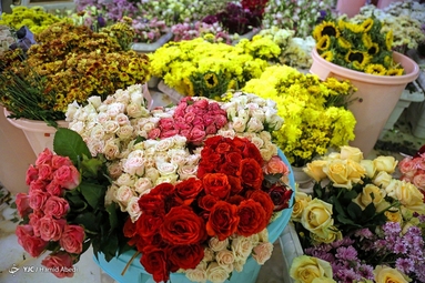گل آرایی ضریح مطهر امام علی (ع) به مناسبت عید غدیر