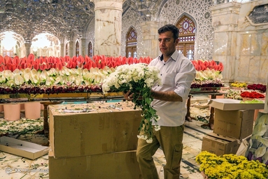 گل آرایی ضریح مطهر امام علی (ع) به مناسبت عید غدیر