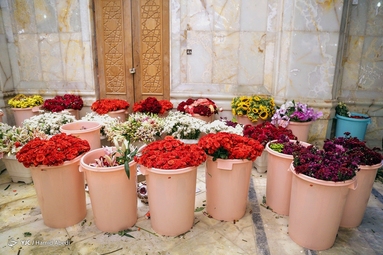 گل آرایی ضریح مطهر امام علی (ع) به مناسبت عید غدیر