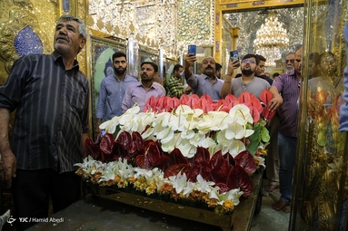 گل آرایی ضریح مطهر امام علی (ع) به مناسبت عید غدیر