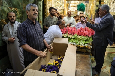 گل آرایی ضریح مطهر امام علی (ع) به مناسبت عید غدیر