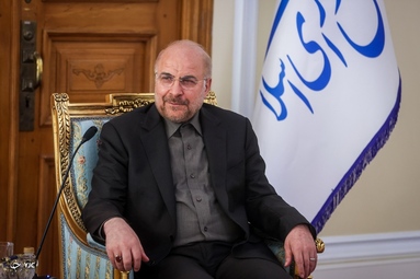 دیدار وزیر امور خارجه سوریه با محمد باقر قالیباف رئیس مجلس شورای اسلامی