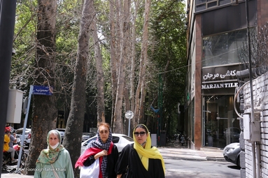 خشک شدن ده درخت خیابان ولیعصر